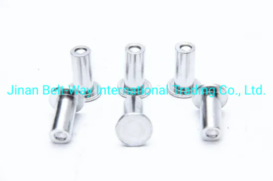 Sinotruk HOWO トラック部品 ブレーキ内膜 ニット Wg9231340068 標準で耐久性10*22mm