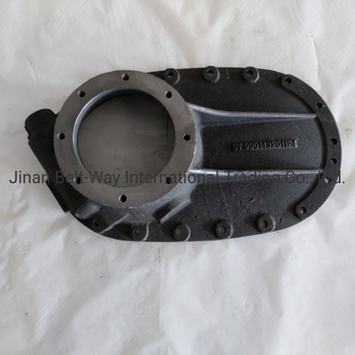 Sinotruk HOWO トラック部品 トラックスペアパーツ ブリッジボックスカバー 990143201124 標準