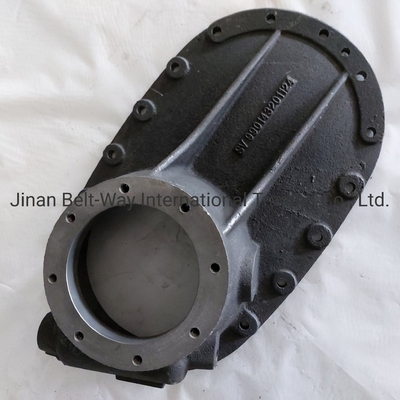 Sinotruk HOWO トラック部品 トラックスペアパーツ ブリッジボックスカバー 990143201124 標準