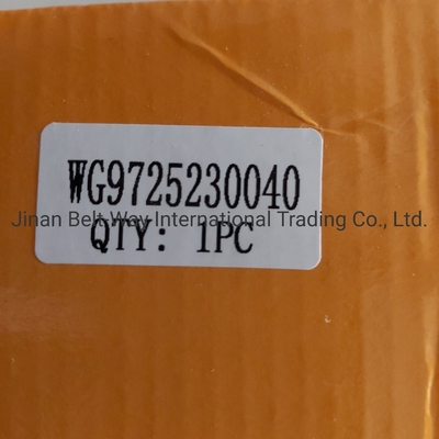 ブレーキシステム部品 Wg9725230040 シノトルク HOWO トラック向けクラッチブースターシリンダー OEM