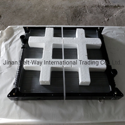 Sinotruk HOWO トラック部品 ラジエーター Wg9719530270 Wg9725530011 連絡先 送料