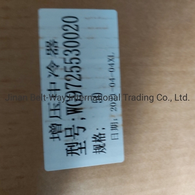 シノトルク HOWO トラック用スペアパーツ 超充電インタークーラー Wg97255300250 Wg9725530020